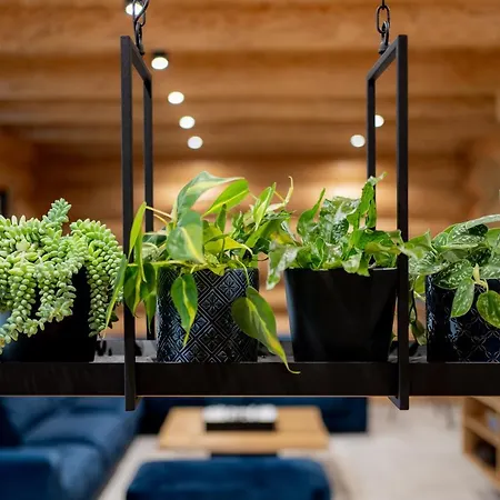 Appartamento Nowy Swiat *