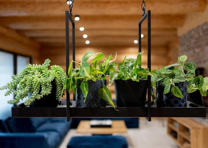 Apartamento Nowy Swiat *